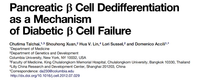 β-cell dormancy theory Теория покоя β-клеток