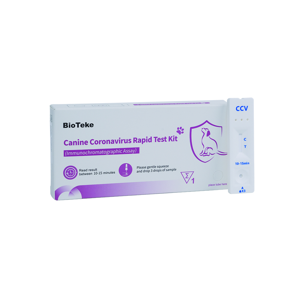 Canine Coronavirus
