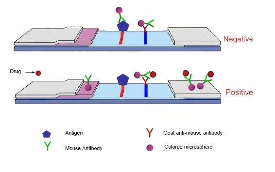 Принцип анализа мочи на наркотики