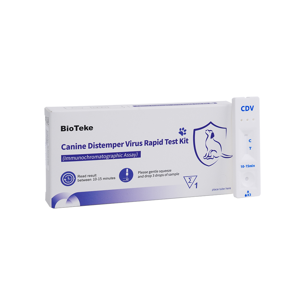 CDV Rapid Test